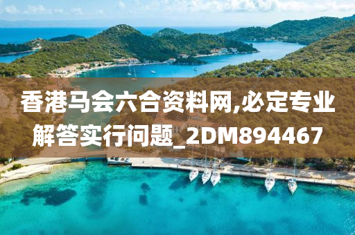 香港马会六合资料网,必定专业解答实行问题_2DM894467