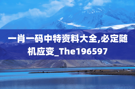 一肖一码中特资料大全,必定随机应变_The196597