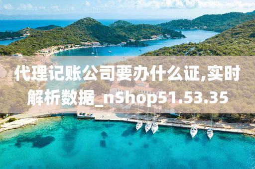 代理记账公司要办什么证,实时解析数据_nShop51.53.35