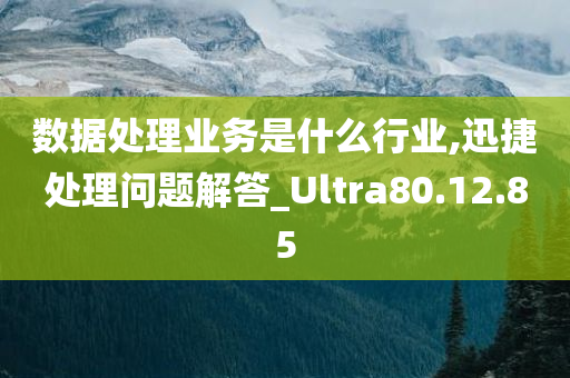 数据处理业务是什么行业,迅捷处理问题解答_Ultra80.12.85