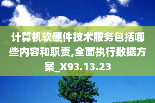 计算机软硬件技术服务包括哪些内容和职责,全面执行数据方案_X93.13.23