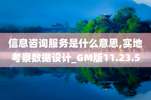 信息咨询服务是什么意思,实地考察数据设计_GM版11.23.50