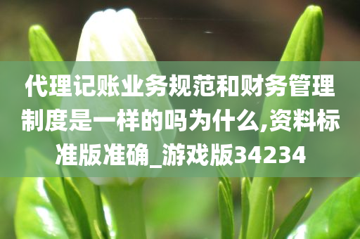 代理记账业务规范和财务管理制度是一样的吗为什么,资料标准版准确_游戏版34234