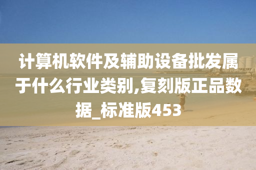 计算机软件及辅助设备批发属于什么行业类别,复刻版正品数据_标准版453