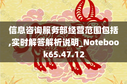 信息咨询服务部经营范围包括,实时解答解析说明_Notebook65.47.12