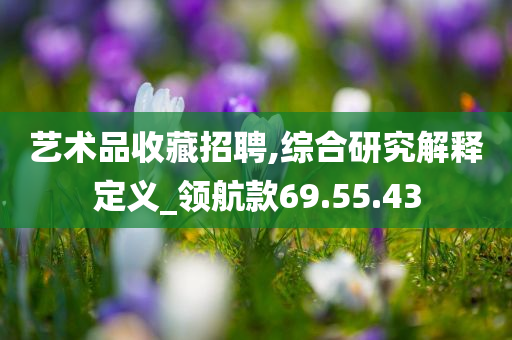 艺术品收藏招聘,综合研究解释定义_领航款69.55.43