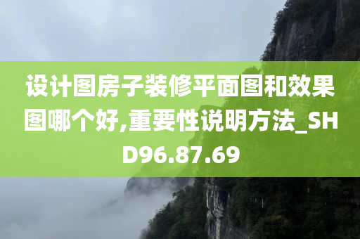 设计图房子装修平面图和效果图哪个好,重要性说明方法_SHD96.87.69