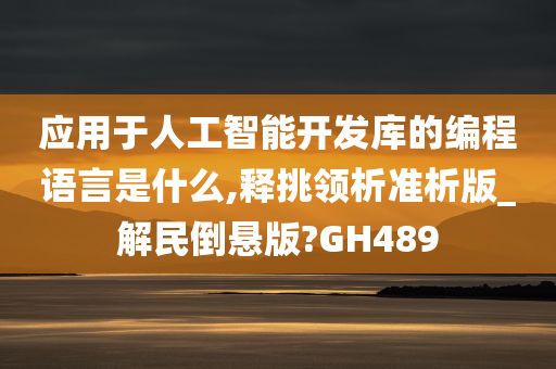 应用于人工智能开发库的编程语言是什么,释挑领析准析版_解民倒悬版?GH489