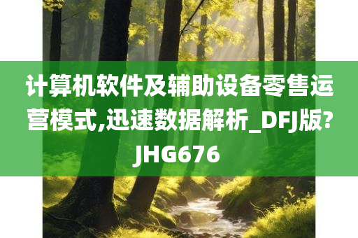 计算机软件及辅助设备零售运营模式,迅速数据解析_DFJ版?JHG676