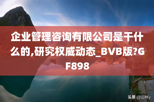 企业管理咨询有限公司是干什么的,研究权威动态_BVB版?GF898