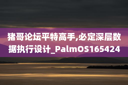 猪哥论坛平特高手,必定深层数据执行设计_PalmOS165424