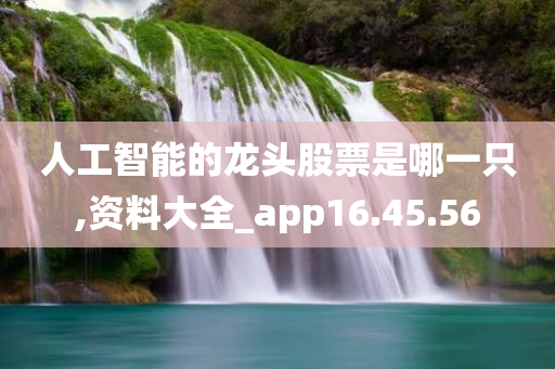 人工智能的龙头股票是哪一只,资料大全_app16.45.56