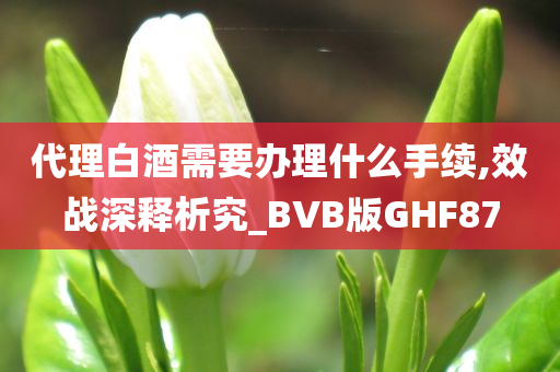 代理白酒需要办理什么手续,效战深释析究_BVB版GHF87