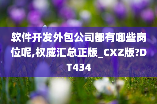 软件开发外包公司都有哪些岗位呢,权威汇总正版_CXZ版?DT434