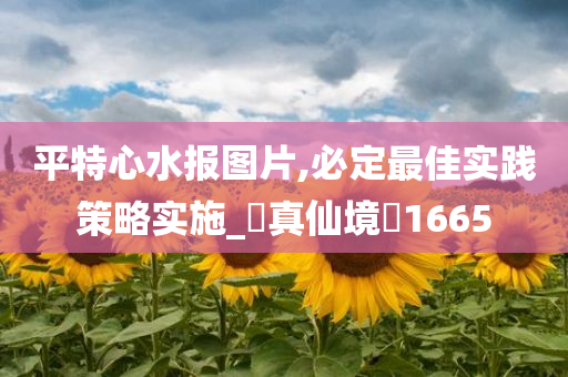 平特心水报图片,必定最佳实践策略实施_‌真仙境‌1665