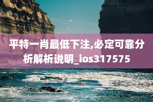 平特一肖最低下注,必定可靠分析解析说明_ios317575