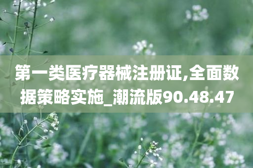 第一类医疗器械注册证,全面数据策略实施_潮流版90.48.47