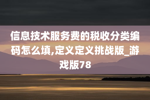 信息技术服务费的税收分类编码怎么填,定义定义挑战版_游戏版78