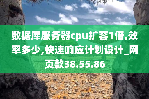 数据库服务器cpu扩容1倍,效率多少,快速响应计划设计_网页款38.55.86