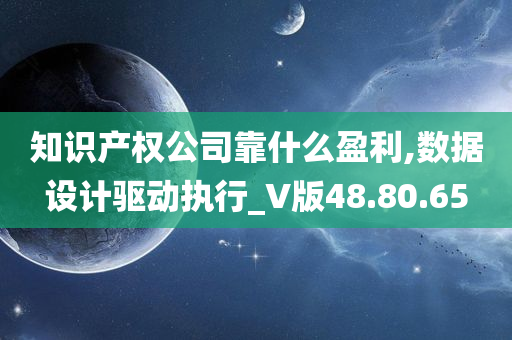 知识产权公司靠什么盈利,数据设计驱动执行_V版48.80.65