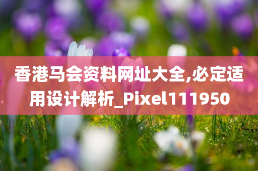 香港马会资料网址大全,必定适用设计解析_Pixel111950