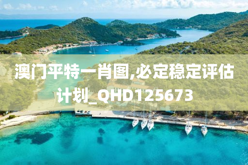 澳门平特一肖图,必定稳定评估计划_QHD125673