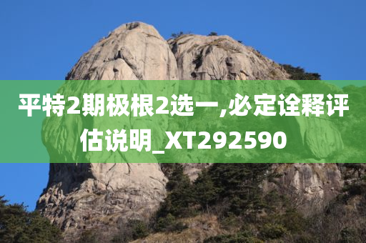 平特2期极根2选一,必定诠释评估说明_XT292590