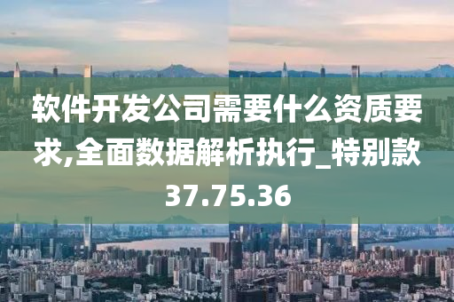 软件开发公司需要什么资质要求,全面数据解析执行_特别款37.75.36