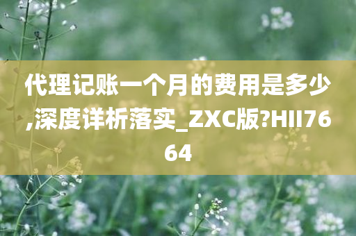 代理记账一个月的费用是多少,深度详析落实_ZXC版?HII7664