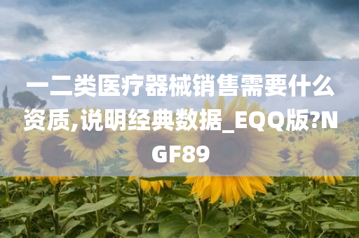 一二类医疗器械销售需要什么资质,说明经典数据_EQQ版?NGF89