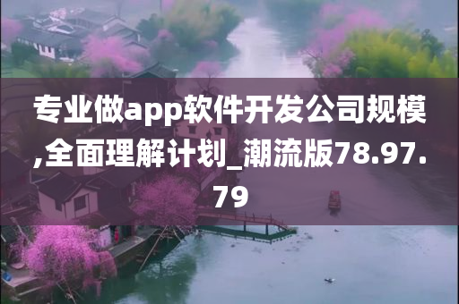 专业做app软件开发公司规模,全面理解计划_潮流版78.97.79