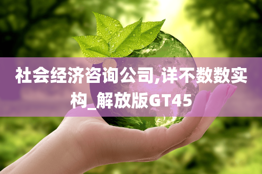 社会经济咨询公司,详不数数实构_解放版GT45