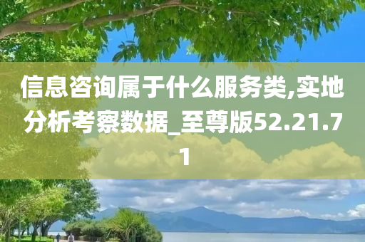 信息咨询属于什么服务类,实地分析考察数据_至尊版52.21.71