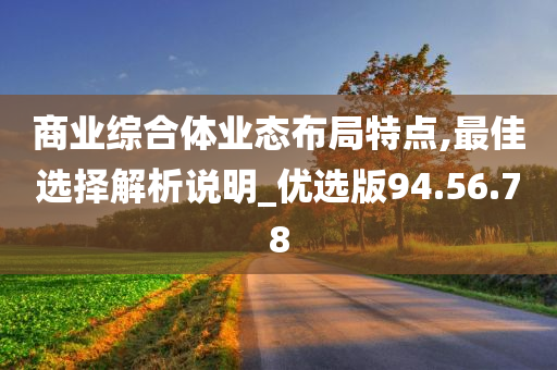 商业综合体业态布局特点,最佳选择解析说明_优选版94.56.78