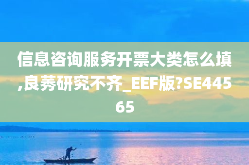 信息咨询服务开票大类怎么填,良莠研究不齐_EEF版?SE44565