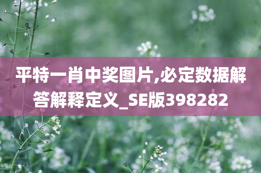 平特一肖中奖图片,必定数据解答解释定义_SE版398282