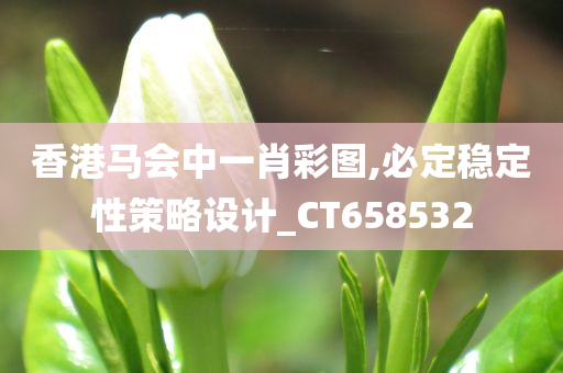 香港马会中一肖彩图,必定稳定性策略设计_CT658532