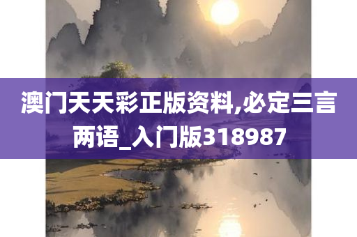 澳门天天彩正版资料,必定三言两语_入门版318987