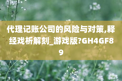 代理记账公司的风险与对策,释经戏析解刻_游戏版?GH4GF89