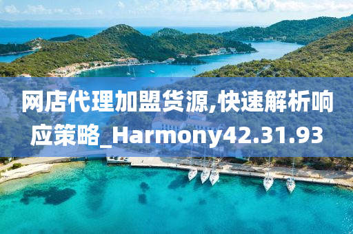 网店代理加盟货源,快速解析响应策略_Harmony42.31.93