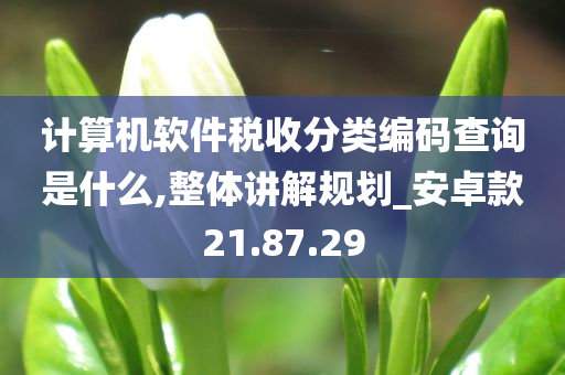 计算机软件税收分类编码查询是什么,整体讲解规划_安卓款21.87.29