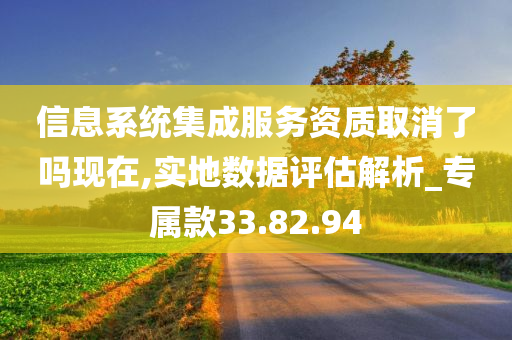 信息系统集成服务资质取消了吗现在,实地数据评估解析_专属款33.82.94