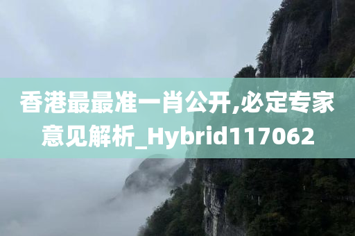 香港最最准一肖公开,必定专家意见解析_Hybrid117062