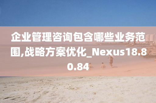 企业管理咨询包含哪些业务范围,战略方案优化_Nexus18.80.84