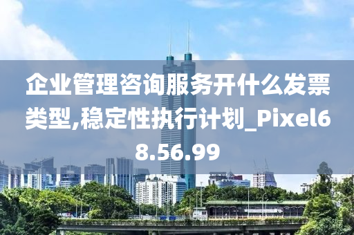 企业管理咨询服务开什么发票类型,稳定性执行计划_Pixel68.56.99