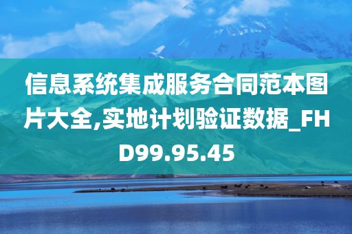 信息系统集成服务合同范本图片大全,实地计划验证数据_FHD99.95.45