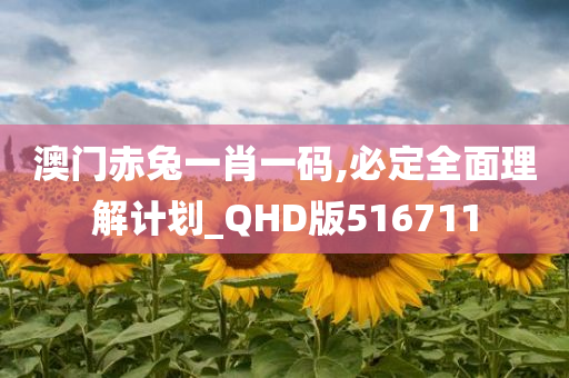 澳门赤兔一肖一码,必定全面理解计划_QHD版516711