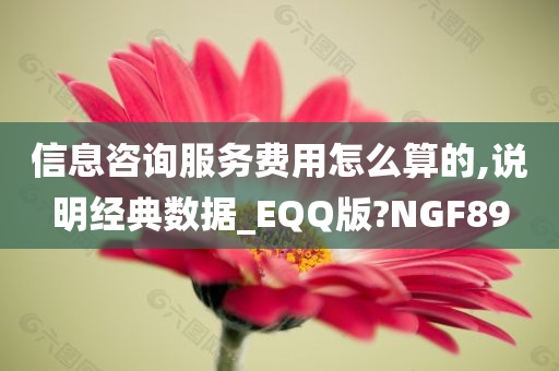 信息咨询服务费用怎么算的,说明经典数据_EQQ版?NGF89