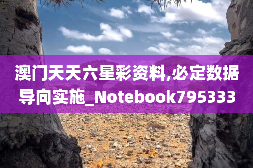 澳门天天六星彩资料,必定数据导向实施_Notebook795333