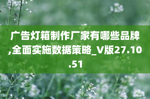 广告灯箱制作厂家有哪些品牌,全面实施数据策略_V版27.10.51